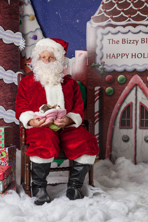Bizzy Blondes Holiday 2014